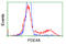 cAMP-specific 3 ,5 -cyclic phosphodiesterase 4A antibody, TA501199, Origene, Flow Cytometry image 