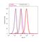 Rho GDP Dissociation Inhibitor Alpha antibody, 51-1000Z, Invitrogen Antibodies, Flow Cytometry image 