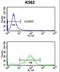 RAB7A, Member RAS Oncogene Family antibody, LS-C162393, Lifespan Biosciences, Flow Cytometry image 