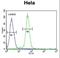 Alanine--Glyoxylate Aminotransferase 2 antibody, LS-C156167, Lifespan Biosciences, Flow Cytometry image 