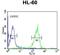 Granzyme B antibody, GTX81831, GeneTex, Flow Cytometry image 