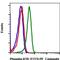 Bruton Tyrosine Kinase antibody, MA5-28077, Invitrogen Antibodies, Flow Cytometry image 