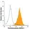 Thrombomodulin antibody, FAB3894A, R&D Systems, Flow Cytometry image 