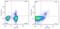 FOXP3 antibody, 12-4776-41, Invitrogen Antibodies, Flow Cytometry image 