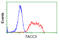 Transforming Acidic Coiled-Coil Containing Protein 3 antibody, GTX83533, GeneTex, Flow Cytometry image 