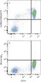 Leukocyte Immunoglobulin Like Receptor B2 antibody, MAB2078, R&D Systems, Flow Cytometry image 