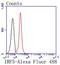 Interferon Regulatory Factor 5 antibody, NBP2-67730, Novus Biologicals, Flow Cytometry image 