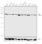 Receptor Interacting Serine/Threonine Kinase 1 antibody, 711689, Invitrogen Antibodies, Western Blot image 