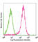 Jagged Canonical Notch Ligand 2 antibody, 131001, BioLegend, Flow Cytometry image 