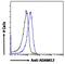 ADAM Metallopeptidase Domain 12 antibody, 45-001, ProSci, Immunofluorescence image 