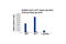 Minichromosome Maintenance Complex Component 2 antibody, 3619P, Cell Signaling Technology, Chromatin Immunoprecipitation image 