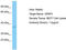 Olfactory Receptor Family 5 Subfamily P Member 3 antibody, TA331607, Origene, Western Blot image 