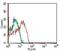 Solute Carrier Family 3 Member 2 antibody, NBP2-36491, Novus Biologicals, Flow Cytometry image 