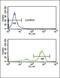 ETS Variant 6 antibody, PA5-35371, Invitrogen Antibodies, Flow Cytometry image 