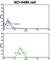 Cadherin 10 antibody, abx028336, Abbexa, Western Blot image 