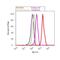 Calcium/Calmodulin Dependent Serine Protein Kinase antibody, PA1-544, Invitrogen Antibodies, Flow Cytometry image 