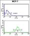 Interleukin 10 Receptor Subunit Alpha antibody, PA5-35361, Invitrogen Antibodies, Flow Cytometry image 