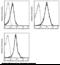 Interferon Gamma Receptor 1 antibody, 50705-R062-F, Sino Biological, Flow Cytometry image 