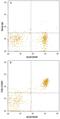 Fc Receptor Like 1 antibody, AF7286, R&D Systems, Flow Cytometry image 