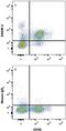 CD226 Molecule antibody, FAB666F, R&D Systems, Flow Cytometry image 