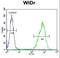 Gasdermin C antibody, LS-C166694, Lifespan Biosciences, Flow Cytometry image 