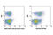 5'-Nucleotidase Ecto antibody, 13160S, Cell Signaling Technology, Flow Cytometry image 