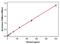 Interferon Gamma antibody, ERIFNG5, Invitrogen Antibodies, Enzyme Linked Immunosorbent Assay image 