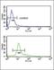 Proprotein Convertase Subtilisin/Kexin Type 2 antibody, PA5-14596, Invitrogen Antibodies, Flow Cytometry image 