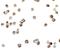 Receptor Interacting Serine/Threonine Kinase 2 antibody, A00818, Boster Biological Technology, Immunocytochemistry image 