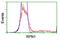 Ribophorin I antibody, LS-C173358, Lifespan Biosciences, Flow Cytometry image 