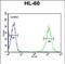 Beta-1,4-Galactosyltransferase 1 antibody, PA5-49655, Invitrogen Antibodies, Flow Cytometry image 