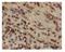 Transforming Growth Factor Beta 3 antibody, ab15537, Abcam, Immunohistochemistry paraffin image 