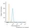 C-C Motif Chemokine Receptor 2 antibody, NBP1-48337R, Novus Biologicals, Flow Cytometry image 