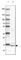 CGRP Receptor Component antibody, HPA007216, Atlas Antibodies, Western Blot image 