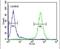 Acyl-CoA Dehydrogenase Family Member 10 antibody, PA5-24293, Invitrogen Antibodies, Flow Cytometry image 