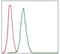 Replication Protein A1 antibody, MA5-17166, Invitrogen Antibodies, Flow Cytometry image 