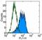 Thy-1 Cell Surface Antigen antibody, 14-0909-82, Invitrogen Antibodies, Flow Cytometry image 