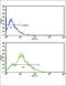 CD3g Molecule antibody, abx028446, Abbexa, Western Blot image 