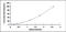 Beta-Actin antibody, MBS2025077, MyBioSource, Enzyme Linked Immunosorbent Assay image 