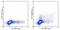 Interleukin 17F antibody, 53-7471-80, Invitrogen Antibodies, Flow Cytometry image 