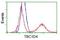 TBC1 Domain Family Member 4 antibody, NBP2-00597, Novus Biologicals, Flow Cytometry image 