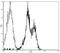 Integrin Subunit Alpha L antibody, 11-0119-42, Invitrogen Antibodies, Flow Cytometry image 