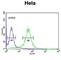 Component Of Oligomeric Golgi Complex 2 antibody, abx034346, Abbexa, Western Blot image 