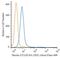 C-Type Lectin Domain Containing 6A antibody, NBP2-27159, Novus Biologicals, Flow Cytometry image 