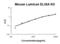 Lumican antibody, EK1261, Boster Biological Technology, Enzyme Linked Immunosorbent Assay image 