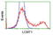 Leucine Carboxyl Methyltransferase 1 antibody, TA503126, Origene, Flow Cytometry image 