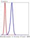 Hexokinase 1 antibody, NBP2-67503, Novus Biologicals, Flow Cytometry image 