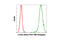 Beta-Actin antibody, 8844S, Cell Signaling Technology, Flow Cytometry image 