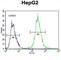 Partner And Localizer Of BRCA2 antibody, abx026387, Abbexa, Western Blot image 