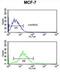 Endonuclease G, mitochondrial antibody, abx032875, Abbexa, Flow Cytometry image 